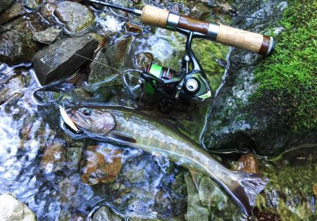 接近戦のイワナ釣り ～長良川水系～